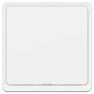 Product detail of Tesla Smart Switch (TSL-SWI-WIFI1)