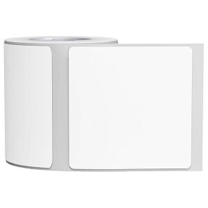 Product detail of Niimbot R 50x50mm 150ks pro B21 (A2A18918501) bílý