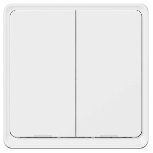 Product detail of Tesla Smart Switch Dual (TSL-SWI-WIFI2)