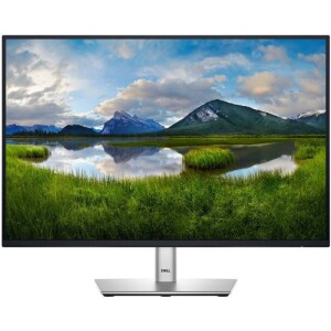 Product detail of Dell Professional P2425 (210-BMJD) černý/stříbrný