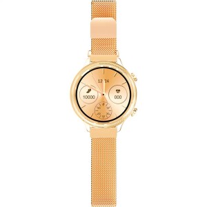 Product detail of Aligator Lady Watch (AW02GD) zlaté