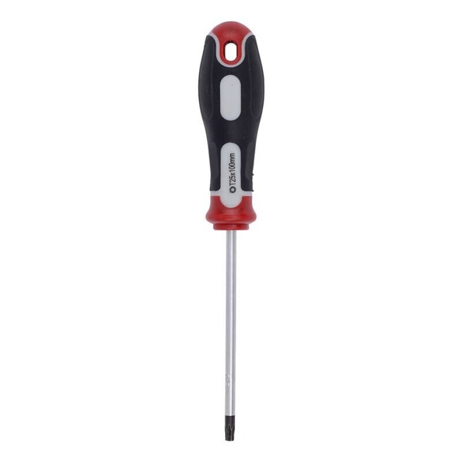 Kreator KRT404108 TORX T25X100 - main (0)