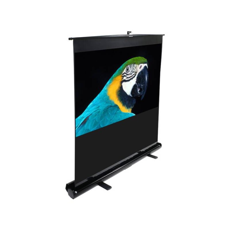 Elite Screens ezCinema (F80NWH) - main (0)