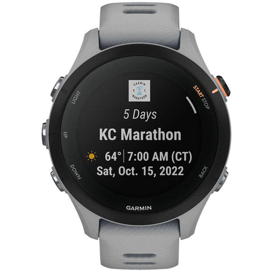 Garmin Forerunner 255S (010-02641-12) šedé - main (0)