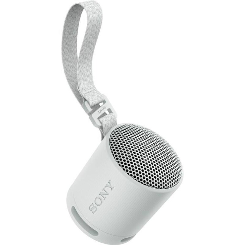 Sony SRS-XB100 šedý - main (0)