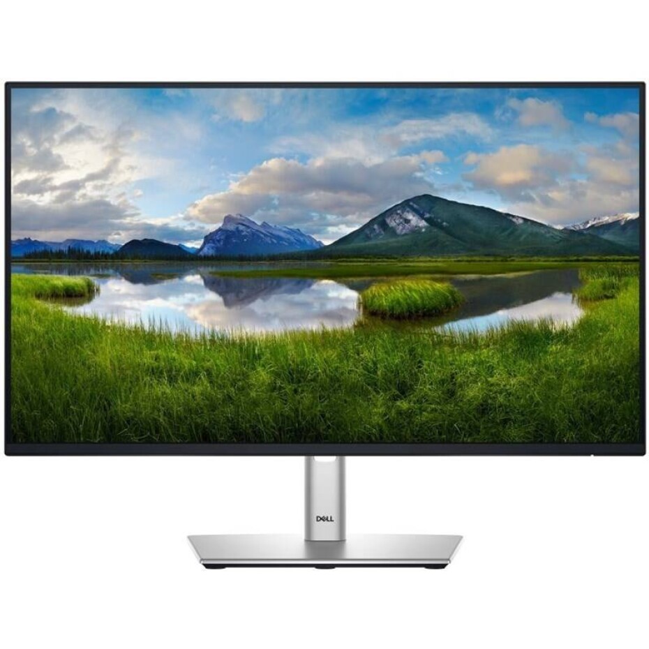Dell Professional P2425HE (210-BMJB) černý/stříbrný - main (0)