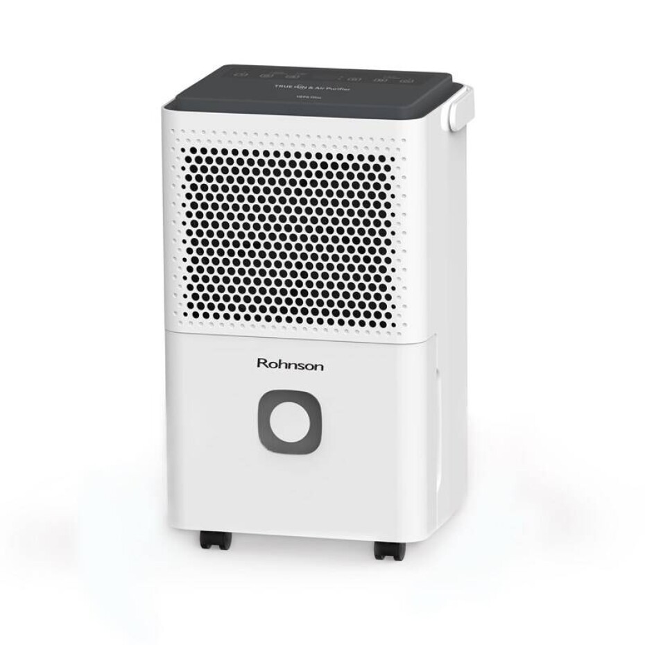 Rohnson R-91312 True Ion & Air Purifier - main (0)