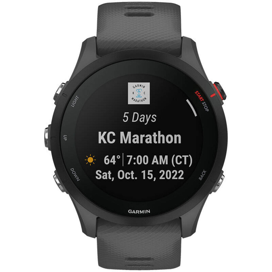 Garmin Forerunner 255 (010-02641-10) šedé - main (0)