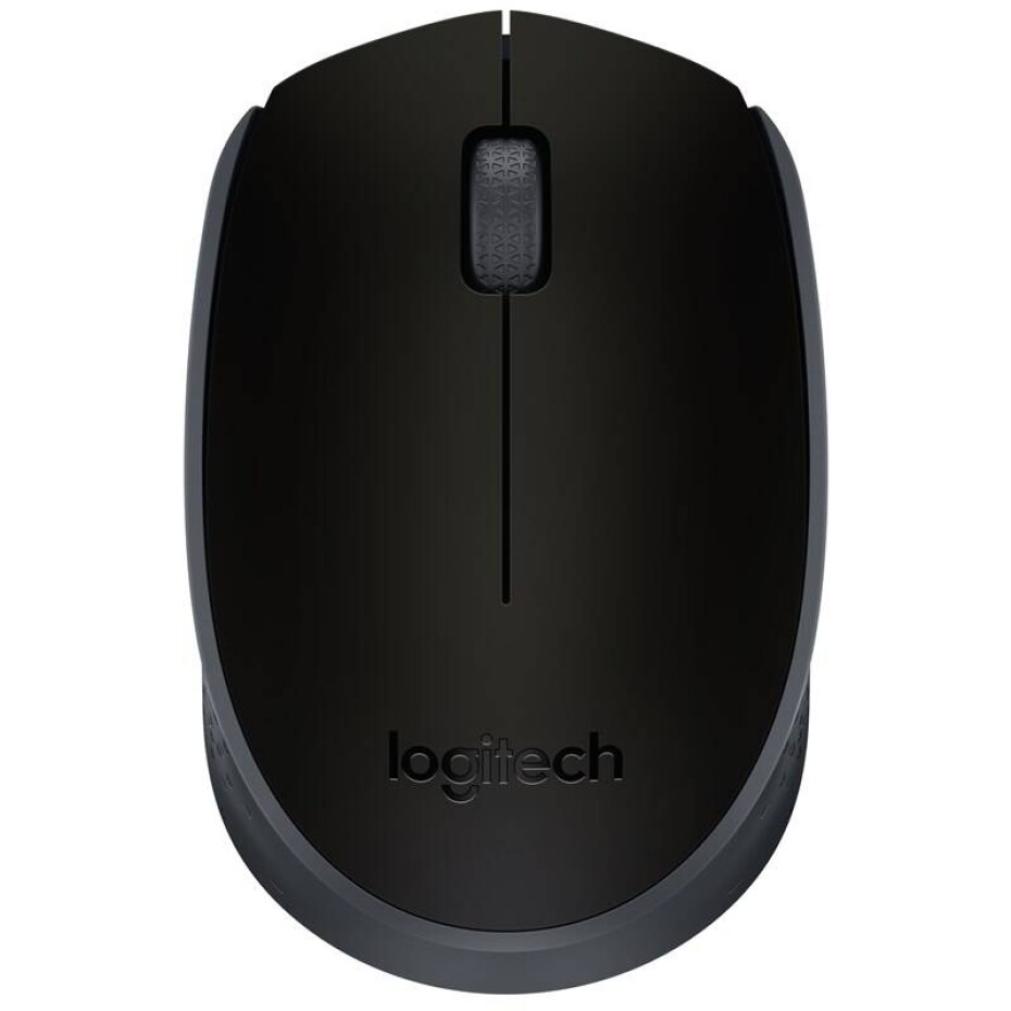 Logitech Wireless M171 (910-004424) černá - main (0)