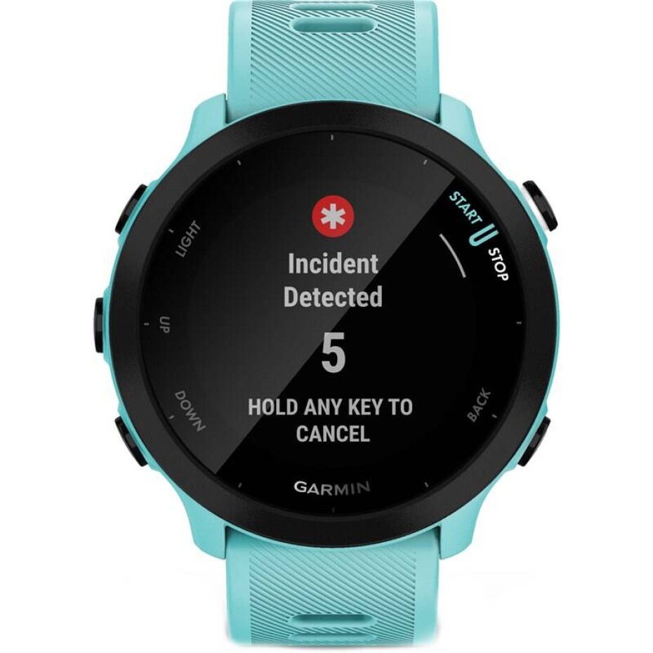 Garmin Forerunner 55 (010-02562-12) modré - main (0)