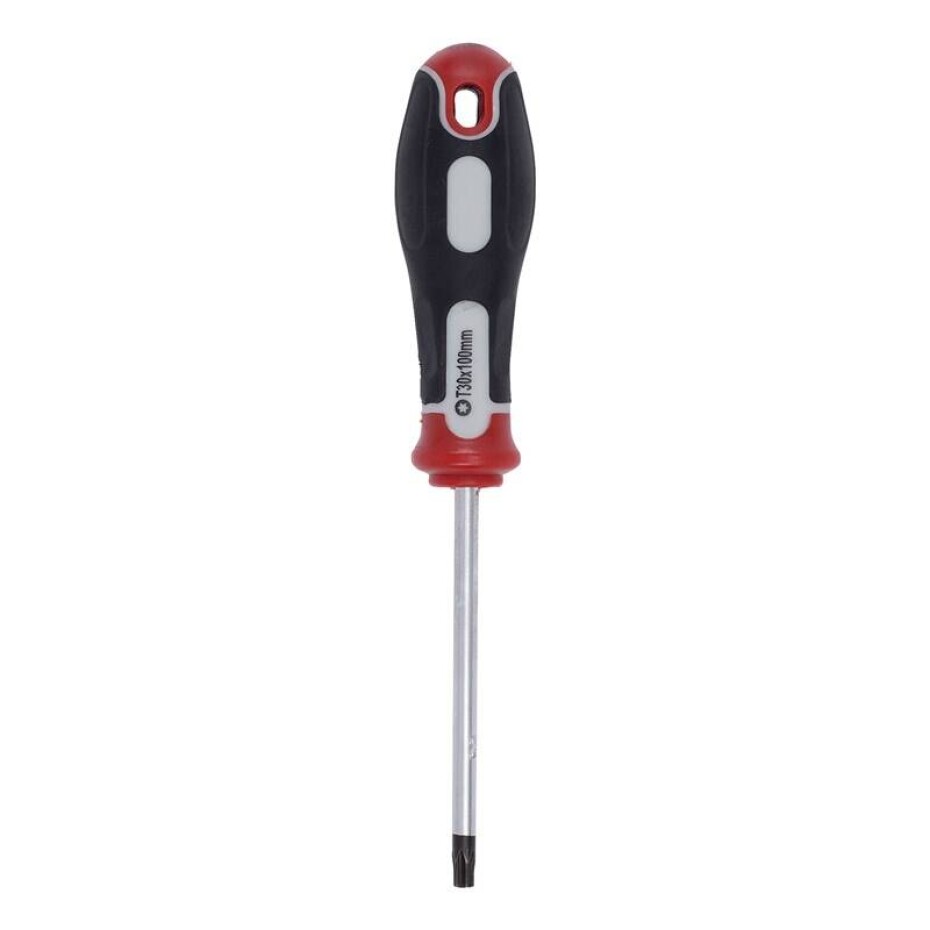 Kreator KRT404110 TORX T30X100 - main (0)