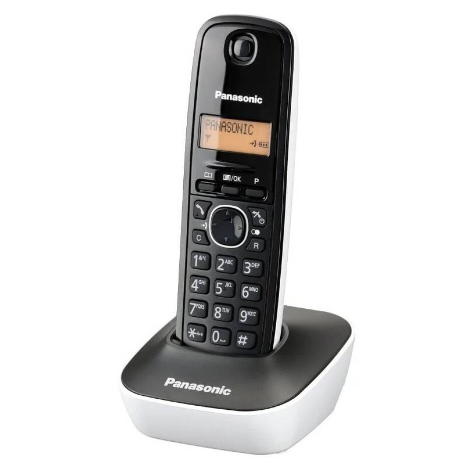 Panasonic KX-TG1611FXW (362993) šedý/bílý - main (0)