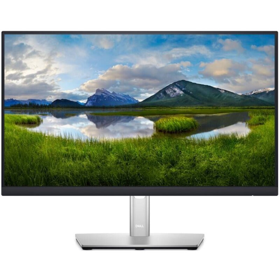 Dell Professional P2222H (210-BBBE) černý/stříbrný - main (0)