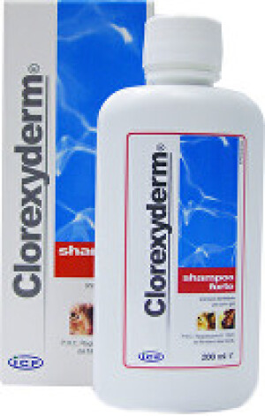 Product detail of Clorexyderm forte šampon ICF 200ml