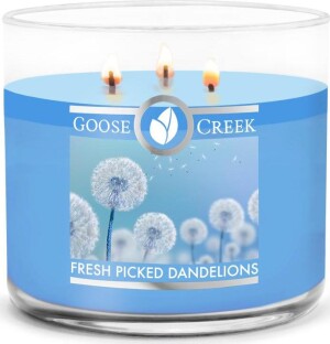 Product detail of Goose Creek - Právě utržené pampelišky Aromatická svíčka ve skle 411 g