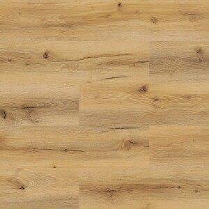 Product detail of Experto Click SPC 50 Plus Dub Terrassa 1036-2