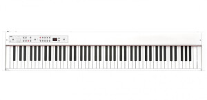 Product detail of Korg D1-WH