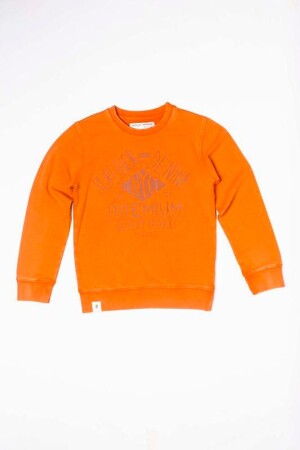 Product detail of Mikina chlapecká s potiskem, Minoti, TUNES 9, oranžová - 68/80 | 6-12m
