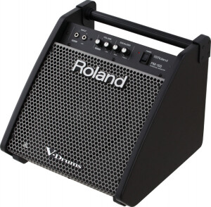 Product detail of Roland PM-100 Personal Monitor