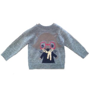 Product detail of Svetr chlapecký, Minoti, RACCOON 9, kluk - 68/74 | 6-9m