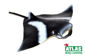 Product detail of C - Figurka Rejnok Manta 12cm, Atlas, W101852