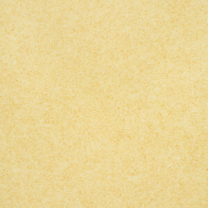 Product detail of pvc Fatra Novoflor Standard Virgo 2805-5