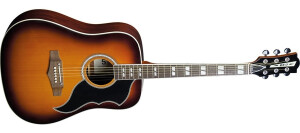 Product detail of Eko Ranger VI VR EQ - Honey Burst