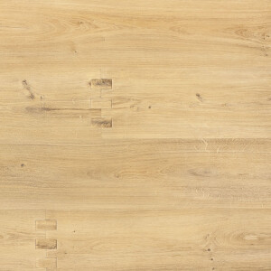 Product detail of pvc Fatra Novoflor Standard Wega 2460-1