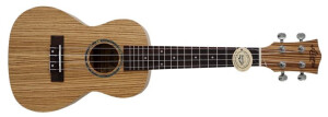 Product detail of Aiersi SU044B Zebrano Concert Ukulele Open Pore Natural
