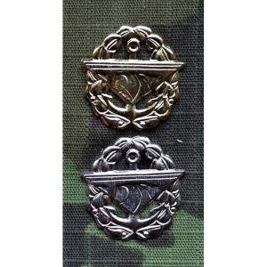 Product detail of Značení: Znak rozlišovací - silniční vojsko zlatý