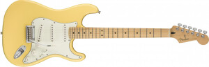 Product detail of Fender Player Stratocaster Buttercream Maple