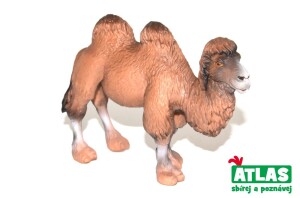 Product detail of C - Figurka Velbloud 11cm, Atlas, W101847