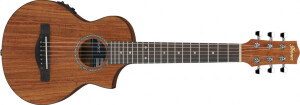 Product detail of Ibanez EWP12EWB-OPN - Open Pore Natural