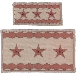 Product detail of Nášivka: Hodnost AČR Generálporučík béžová malá