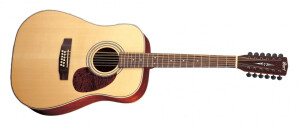 Product detail of Cort Earth70-12 OP