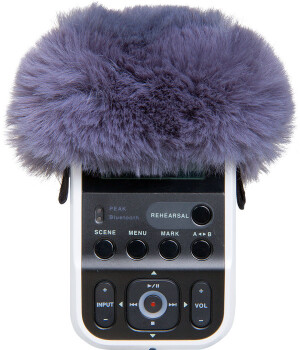 Product detail of Roland R07-WS