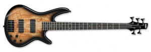 Product detail of Ibanez GSR205SM Natural Gray Burst