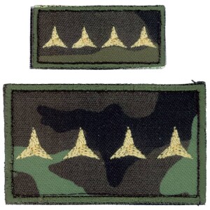 Product detail of Nášivka: Hodnost AČR Kapitán vz. 95 zelený velká