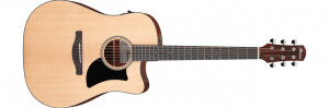 Product detail of Ibanez AAD50CE-LG - Natural Low Gloss