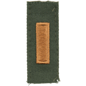 Product detail of Nášivka: Hodnost US ARMY límcová 2nd Lieutenant olivová | zlatá