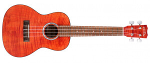 Product detail of Cordoba 15CFM Rose Red
