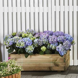 Product detail of Vyvýšený záhon / truhlík LANITPLAST POTTING8 (S7231) LG2402