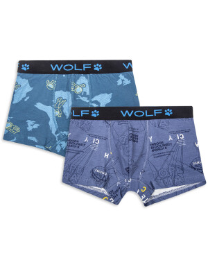 Product detail of Chlapecké boxerky - Wolf L2482, mix barev Barva: Mix barev, Velikost: 158-164