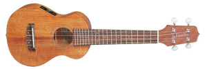 Product detail of Takamine EGU-S1