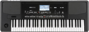 Product detail of Korg Pa300