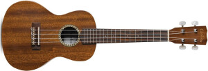Product detail of Cordoba 20CM Concert Ukulele - Natural