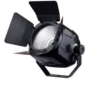Product detail of Fractal Lights PAR LED COB 100 W RGB