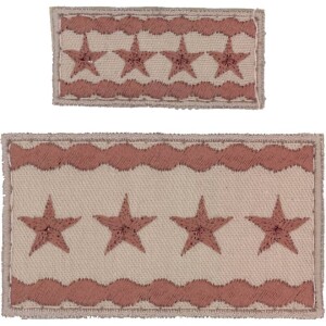 Product detail of Nášivka: Hodnost AČR Armádní generál béžová malá