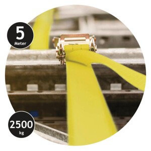 Product detail of DUNLOP Uvazovací pás s ráčnou 5 m / 2500 kg ED-247374