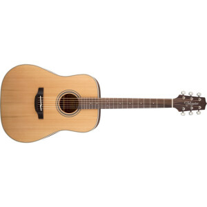 Product detail of Takamine GD20, Rosewood Fingerboard - Natural